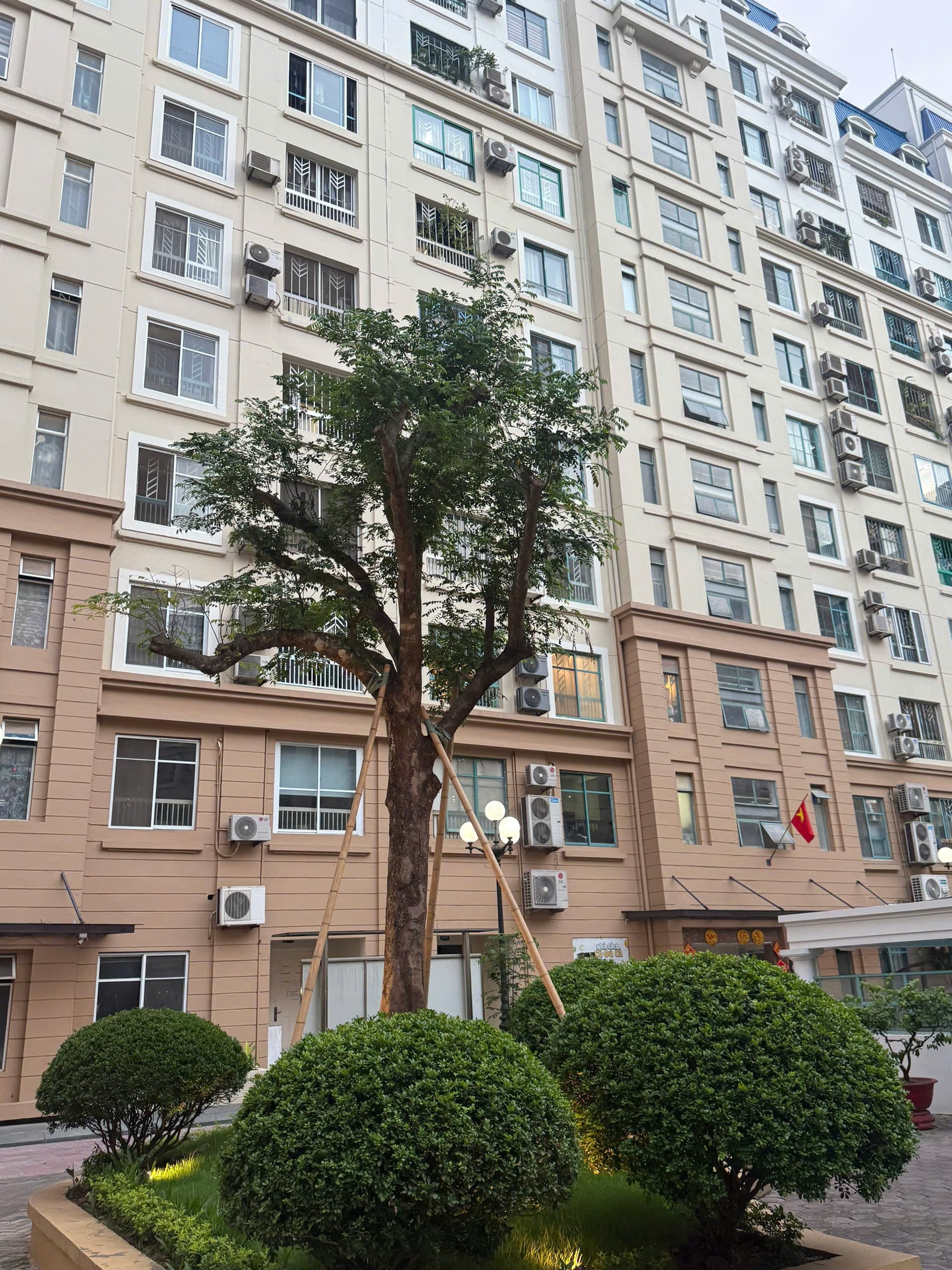 Tham khảo CT4 sau cải tạo - Hình 8